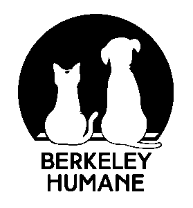 Silhouette of a cat and a dog sitting side by side in front of a black circle, with 